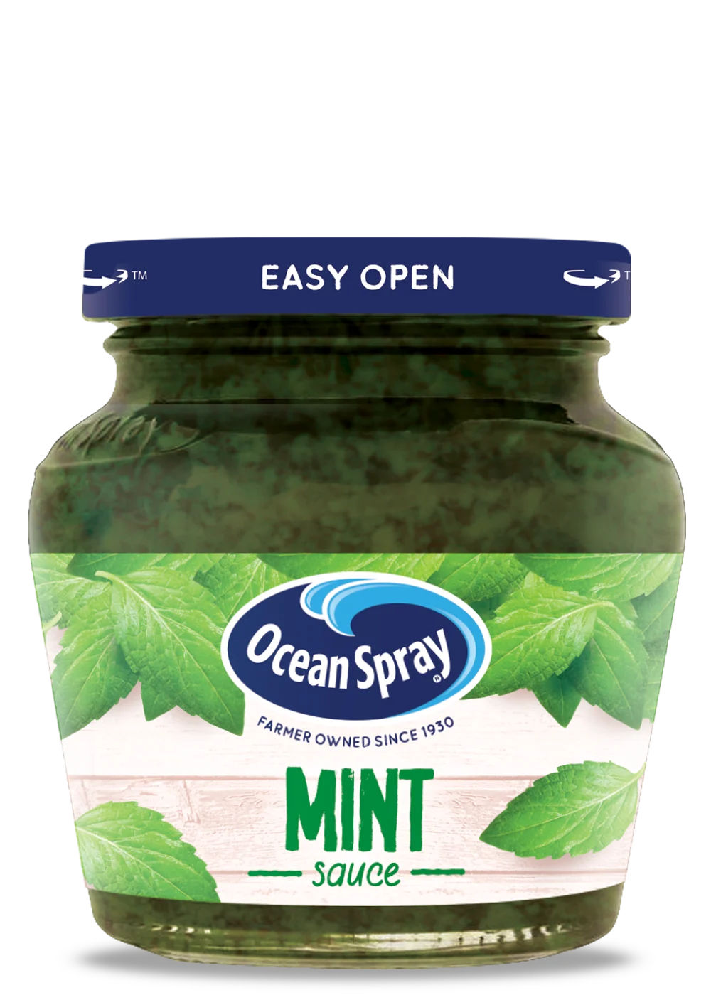 Mint Sauce 240 g