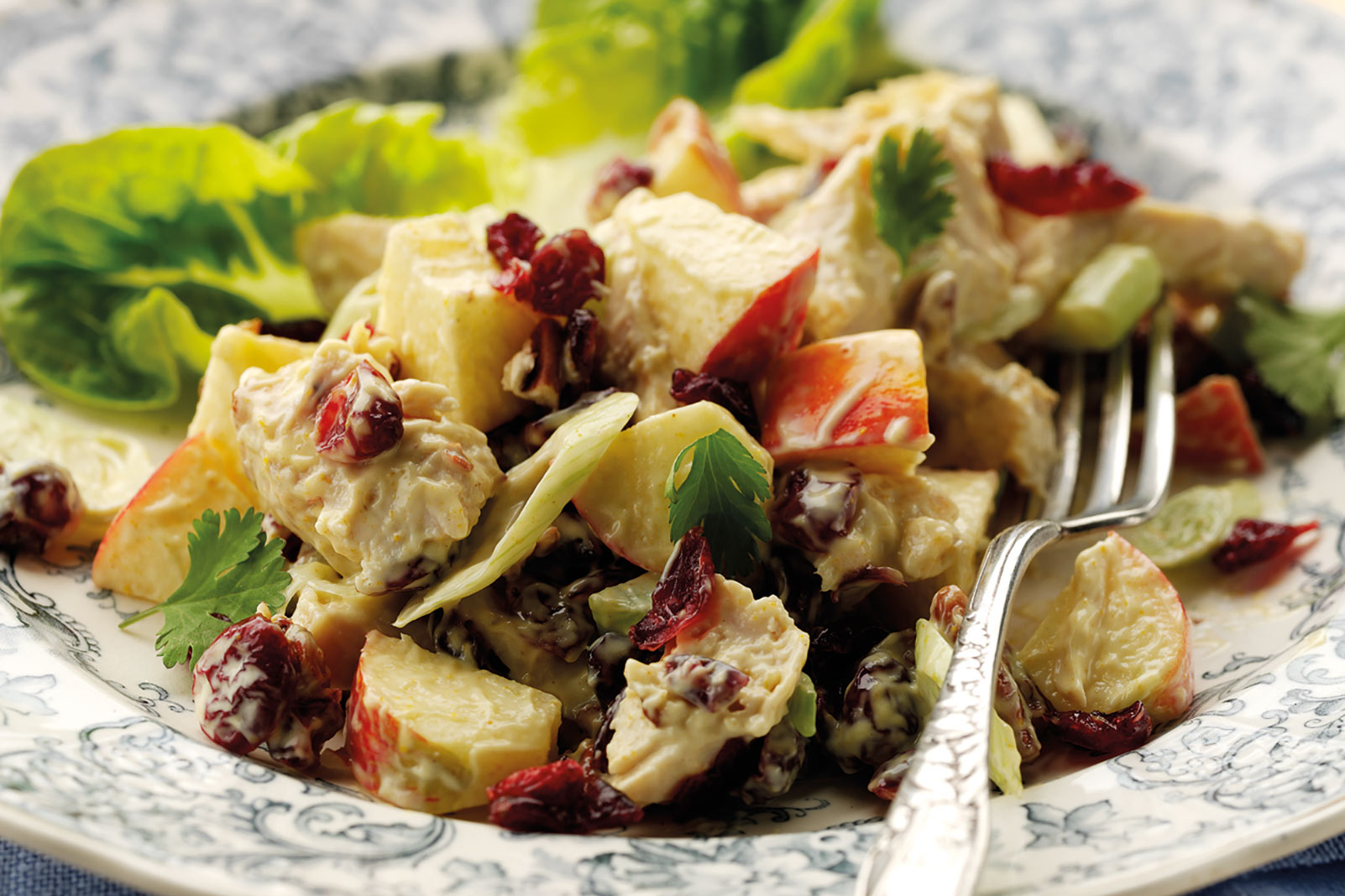 Curried Cranberry and Chicken Salad